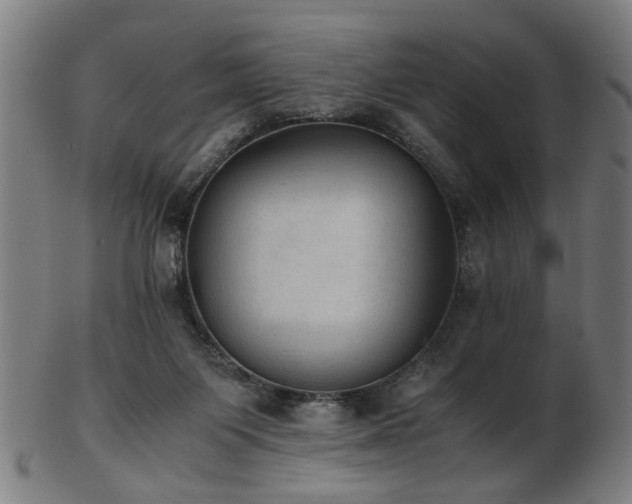 X0000103430119200809121338