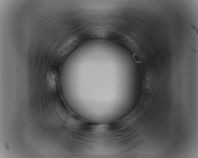 X0000103430122200809121338