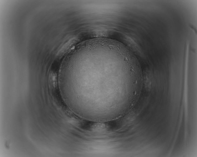 X0000103430123200809121338