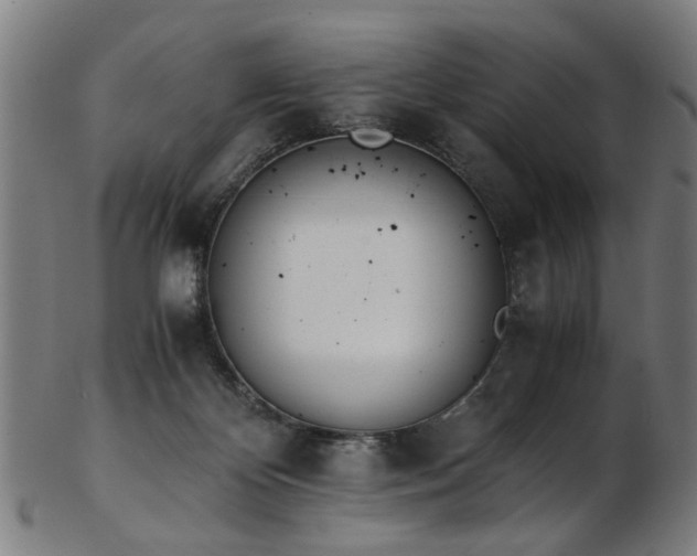 X0000103430124200809121338