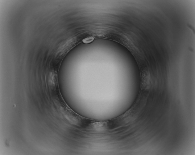 X0000103430126200809121338