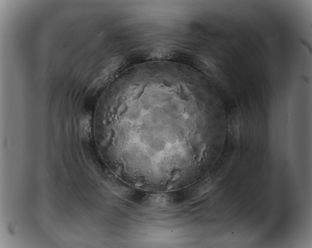 X0000103430127200809121338