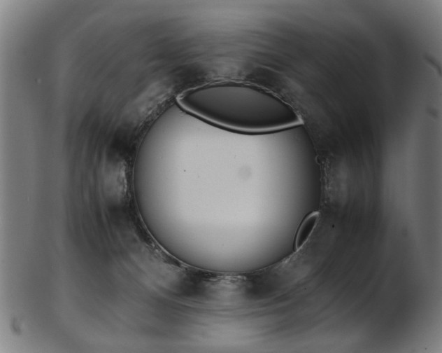 X0000103430128200809121338