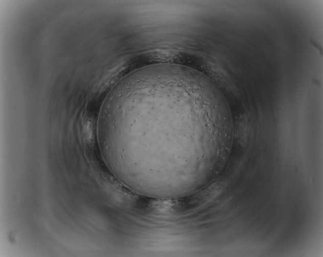 X0000103430131200809121338