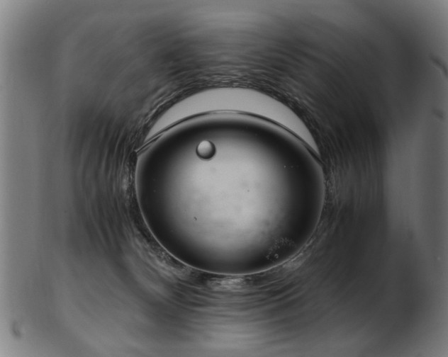 X0000103430132200809121338