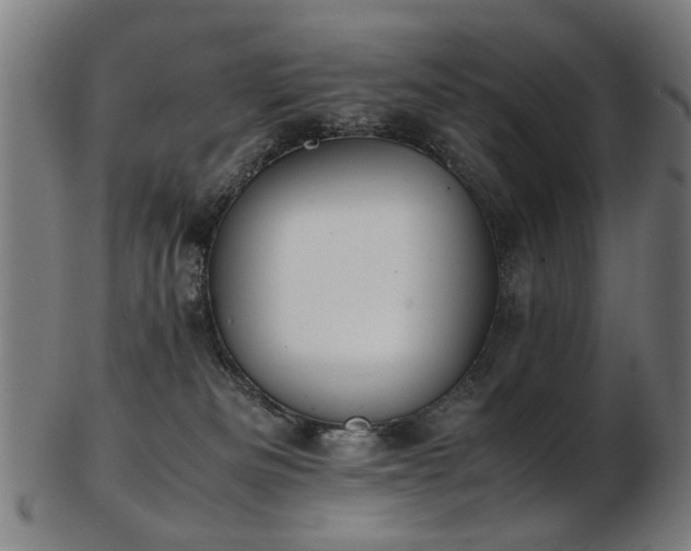 X0000103430133200809121338