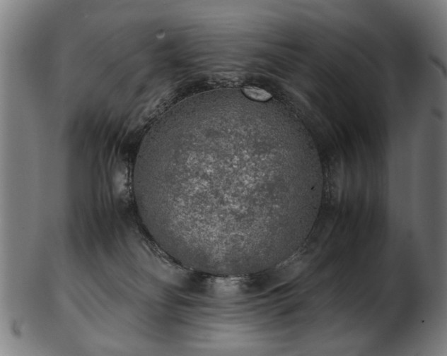 X0000103430134200809121338