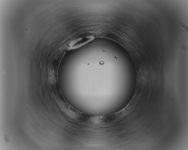 X0000103430136200809121338