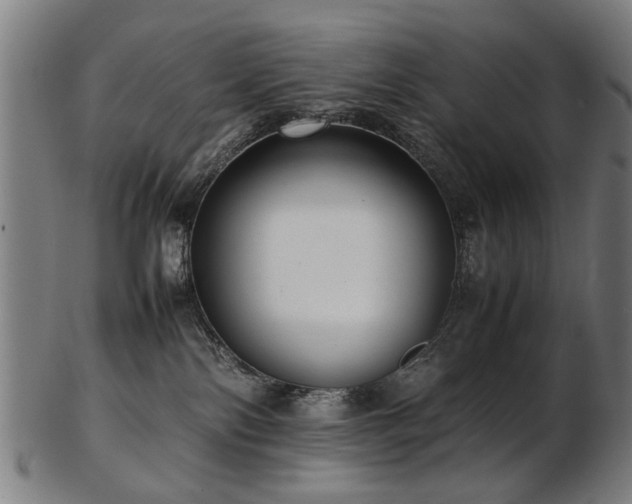 X0000103430138200809121338