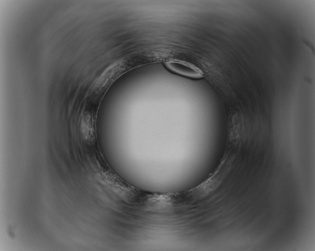 X0000103430140200809121338