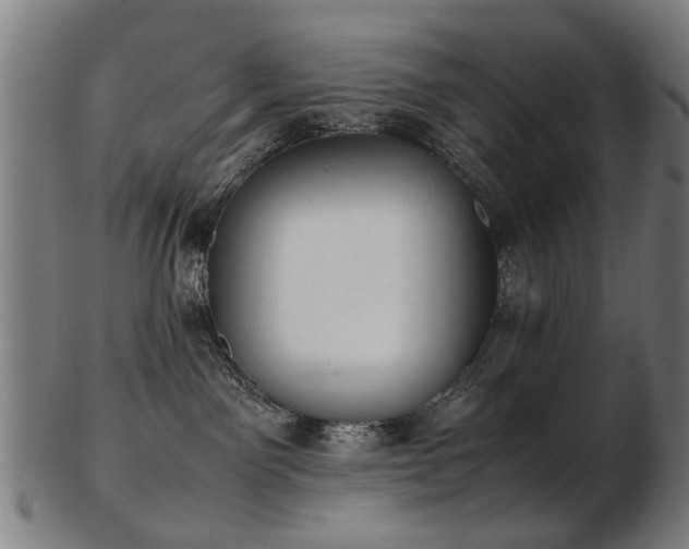 X0000103430141200809121338