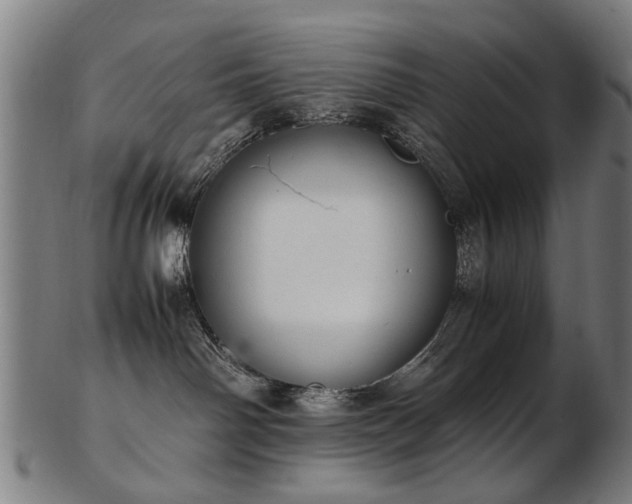 X0000103430142200809121338