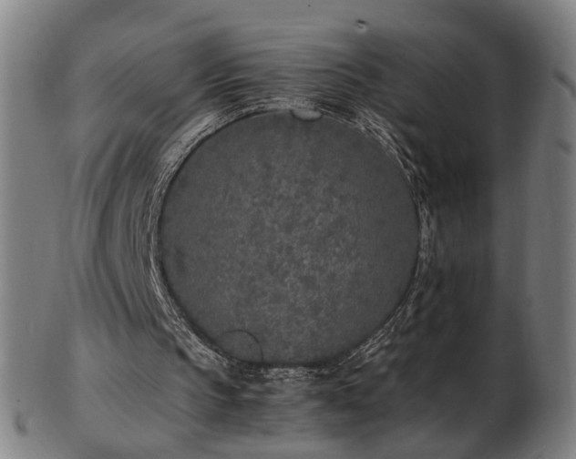 X0000103430145200809121337