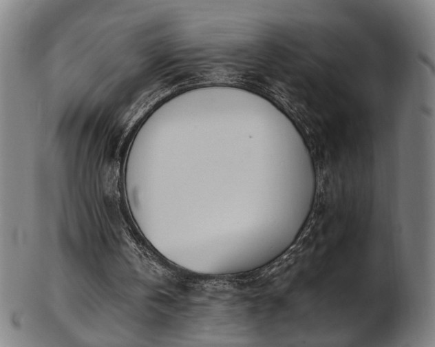 X0000103430146200809121337