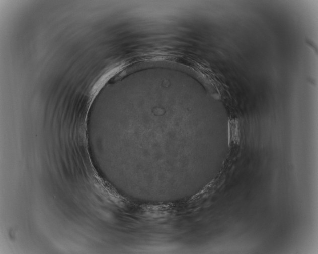 X0000103430147200809121337