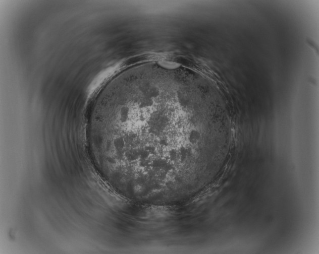 X0000103430149200809121337