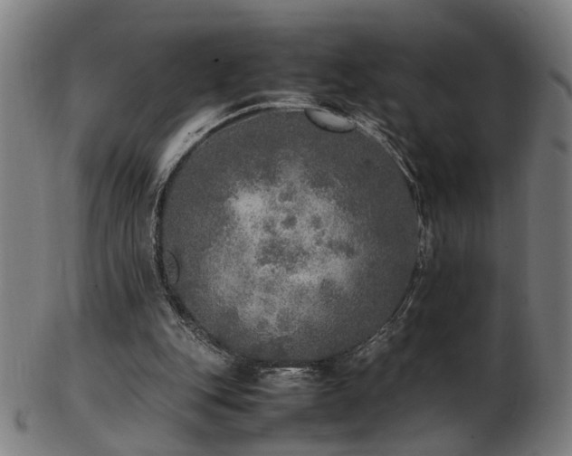 X0000103430151200809121337