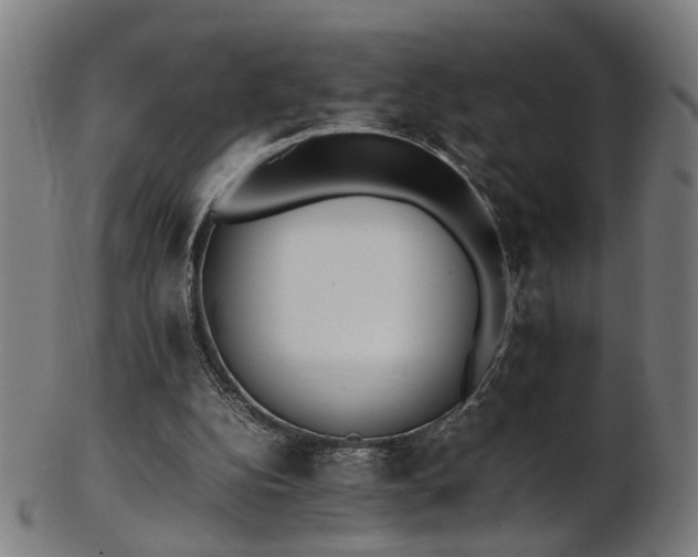 X0000103430152200809121337
