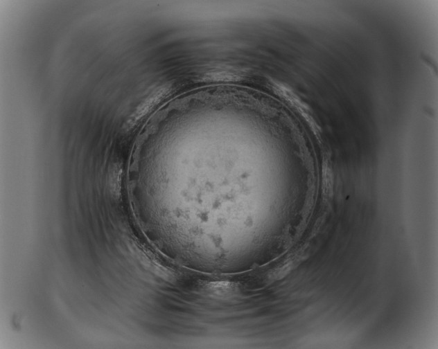 X0000103430153200809121337