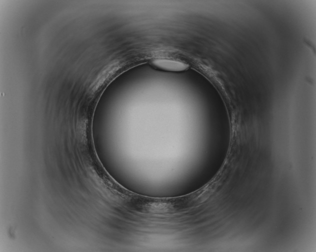 X0000103430154200809121337