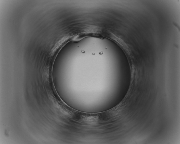 X0000103430155200809121337