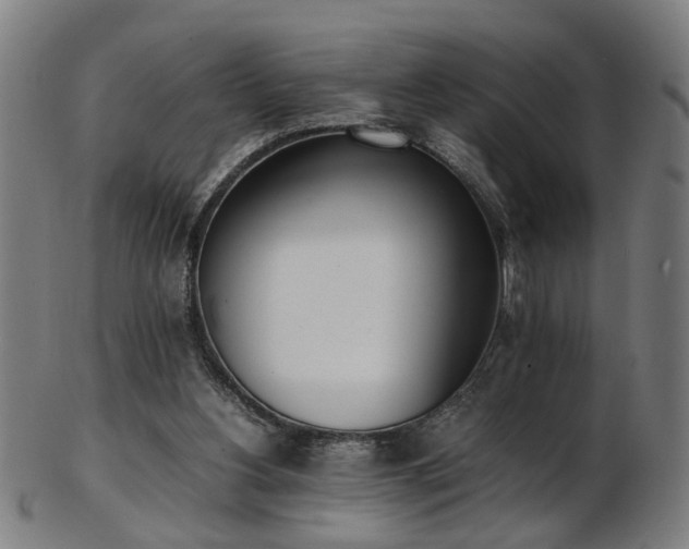 X0000103430156200809121337
