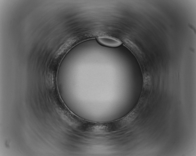 X0000103430158200809121337