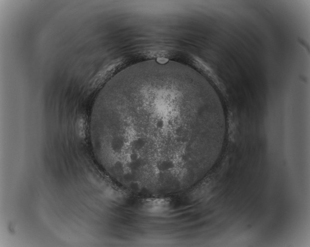 X0000103430161200809121337