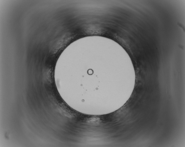 X0000103430162200809121337