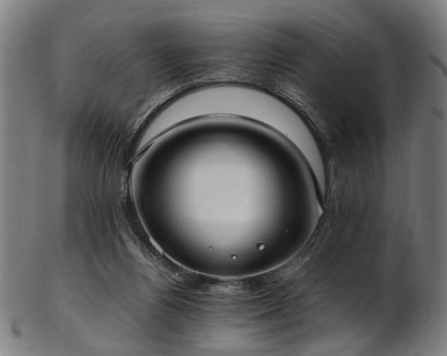 X0000103430164200809121337