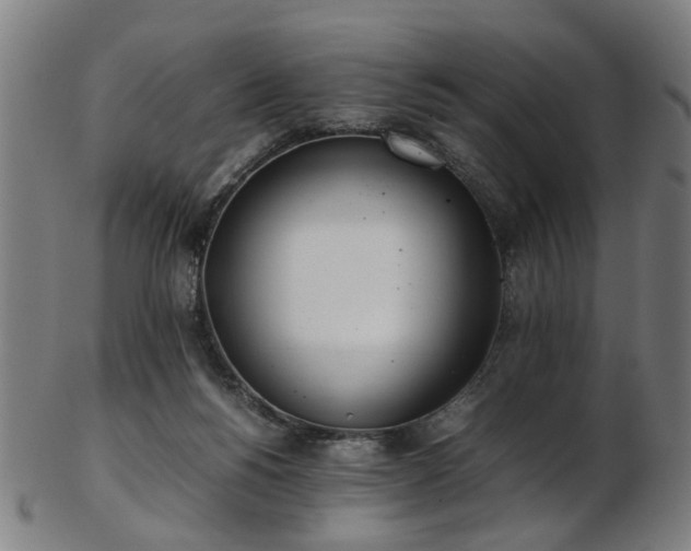 X0000103430168200809121337