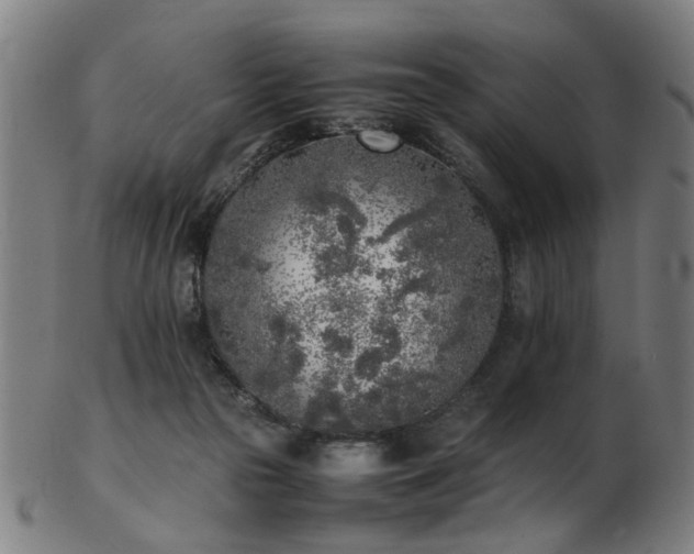 X0000103430169200809121337