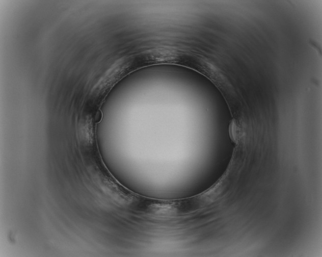 X0000103430170200809121337