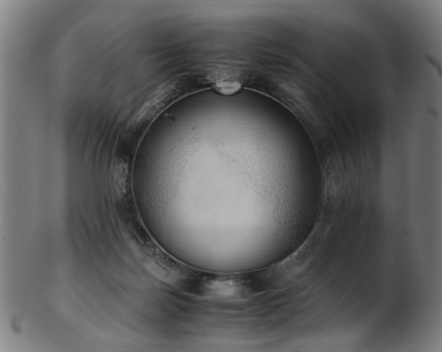 X0000103430171200809121337
