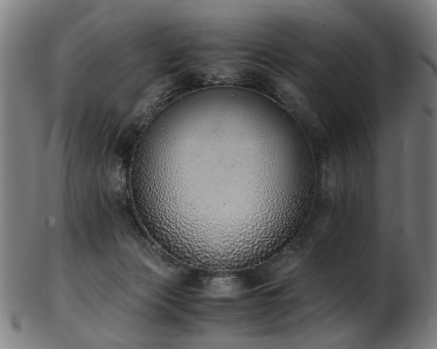 X0000103430173200809121337