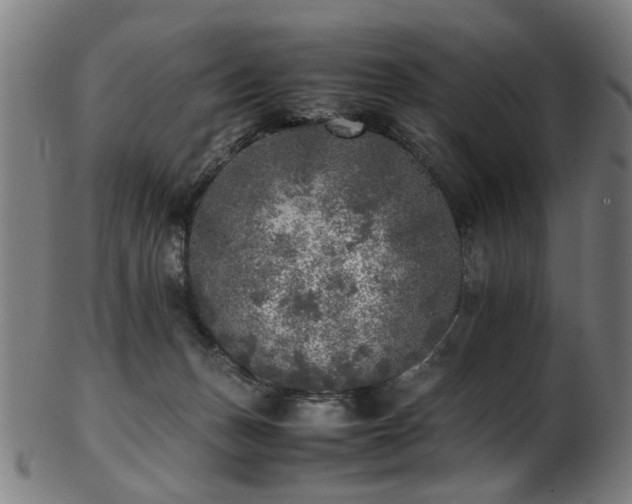 X0000103430175200809121337