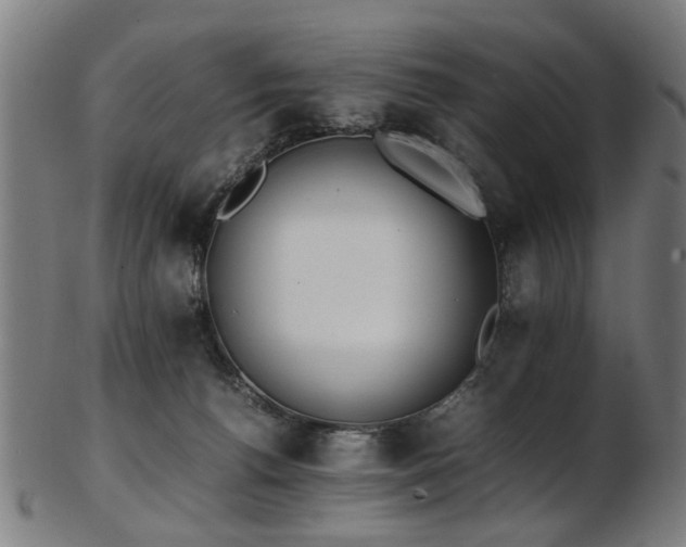 X0000103430176200809121337