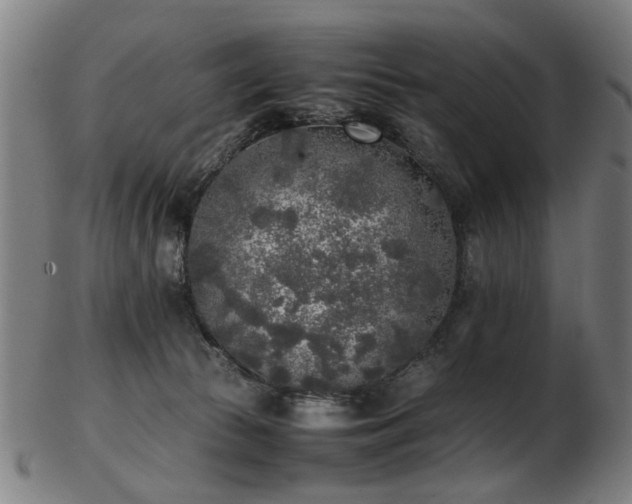 X0000103430177200809121337