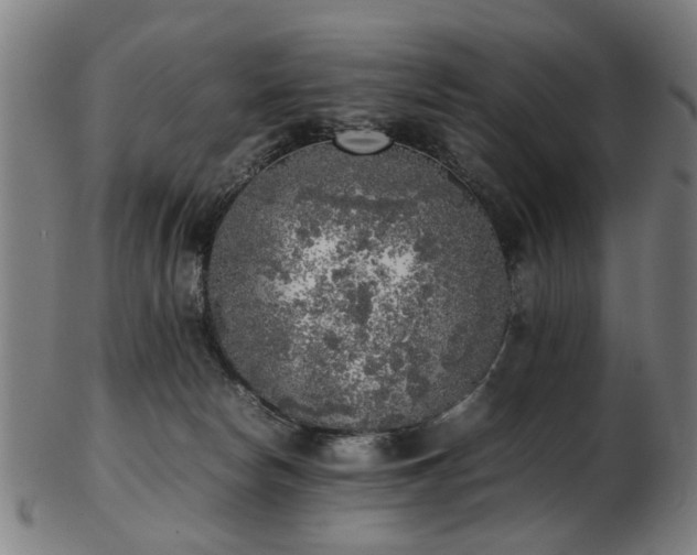 X0000103430178200809121337