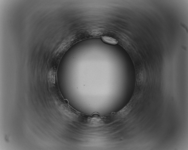 X0000103430180200809121337