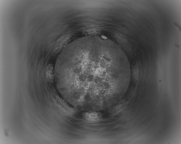 X0000103430181200809121337