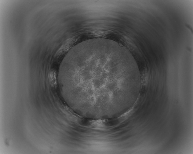X0000103430182200809121338