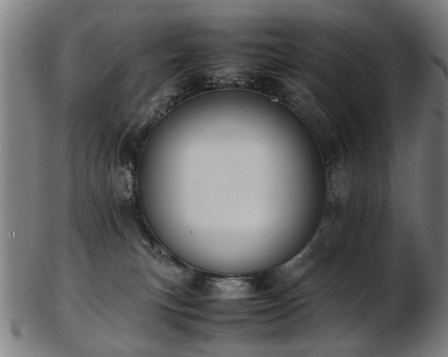 X0000103430183200809121338
