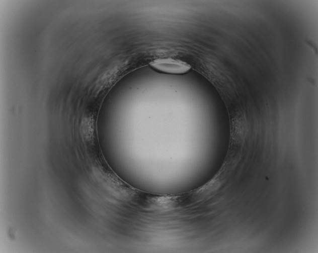 X0000103430184200809121338