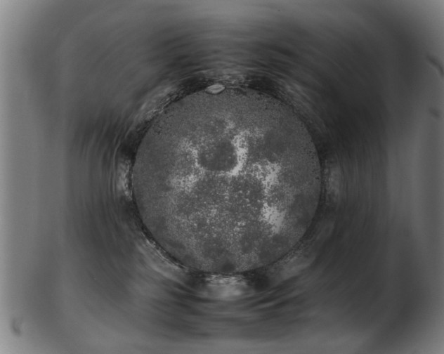 X0000103430185200809121338