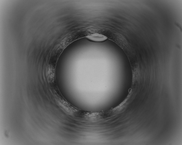X0000103430186200809121338