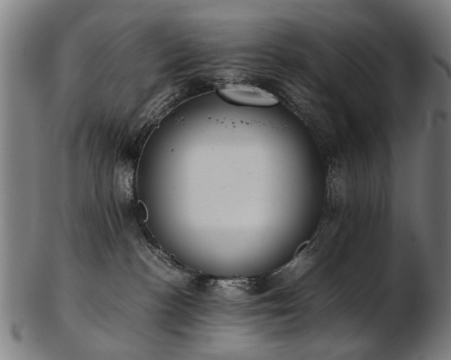 X0000103430188200809121338