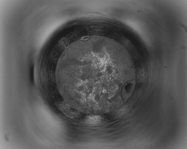 X0000103430189200809121338