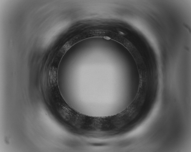 X0000103430190200809121338