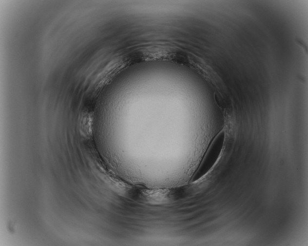 X0000103430191200809121338